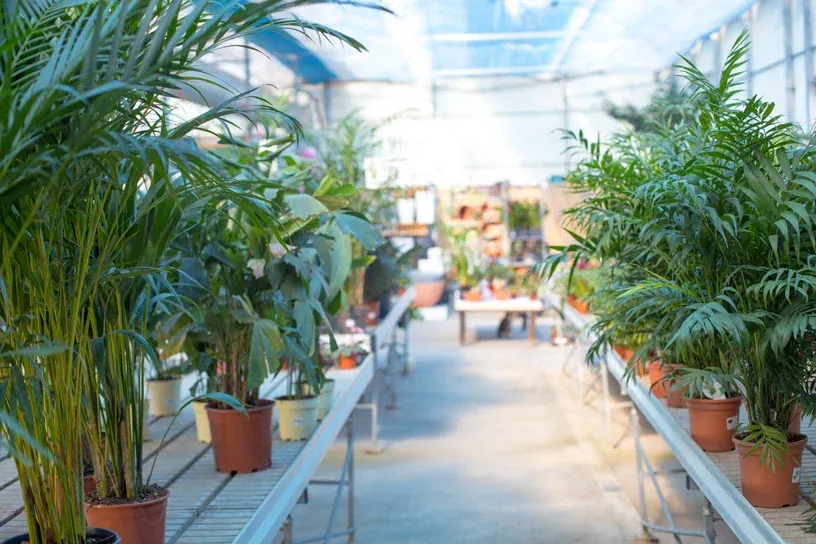 Instalaciones de Garden Center Navarro