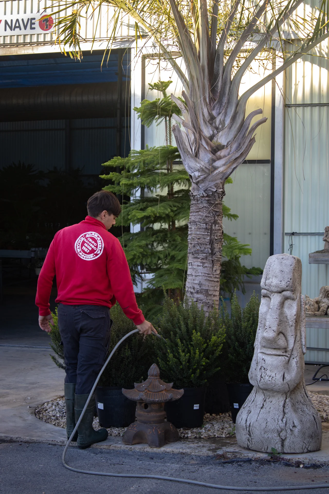 Diseño y construcción de jardines - Garden Center Navarro