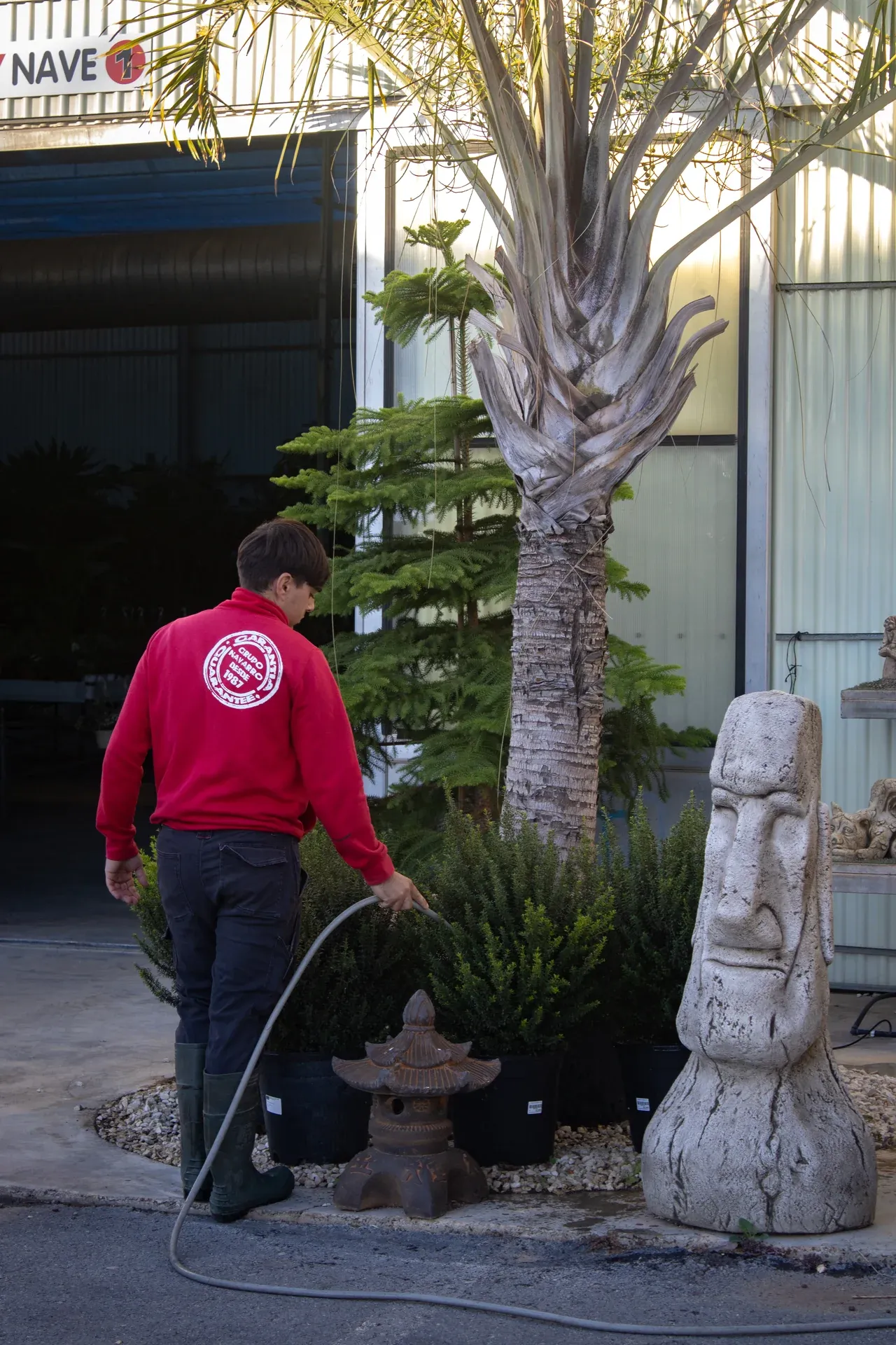 Personal de Garden Center Navarro regando plantas en nuestras instalaciones