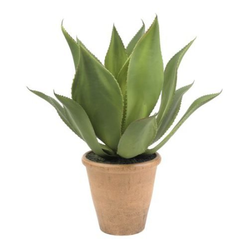 Plantas artificiales pequeñas para mesas y estantes