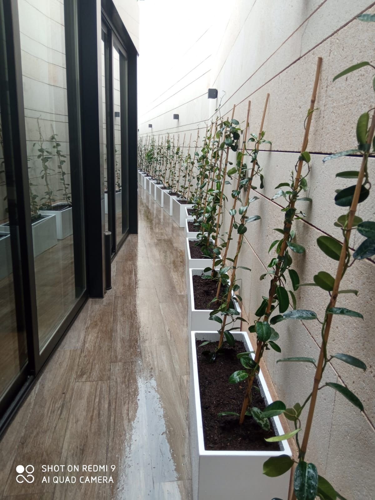 Trabajo realizado 1 - Diseño y construcción de jardines