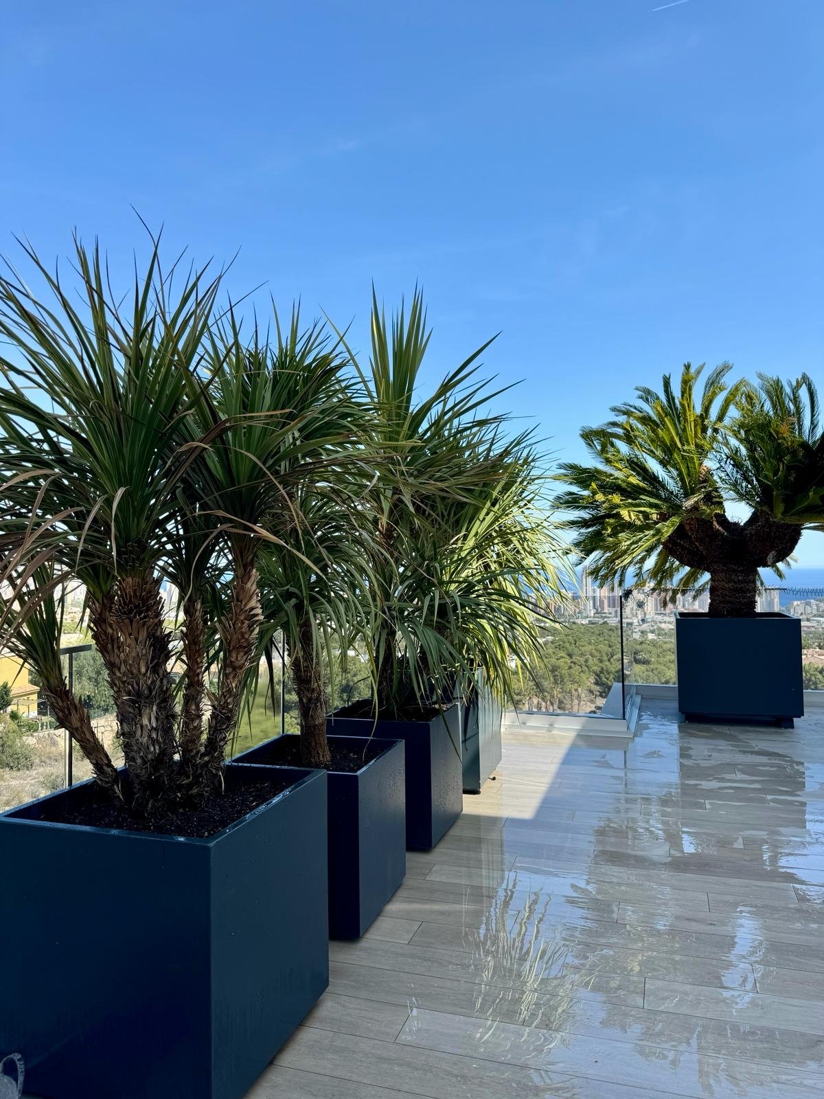 Trabajo realizado 3 - Diseño y construcción de jardines